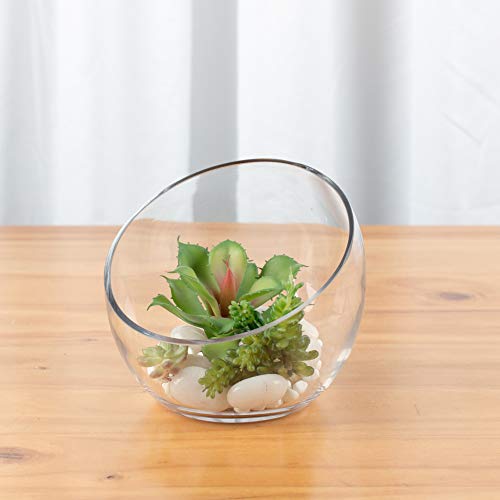 Clear Slant Cut Glass Bowl Vase - 7-Inch Decorative Terrarium & Candy Dish