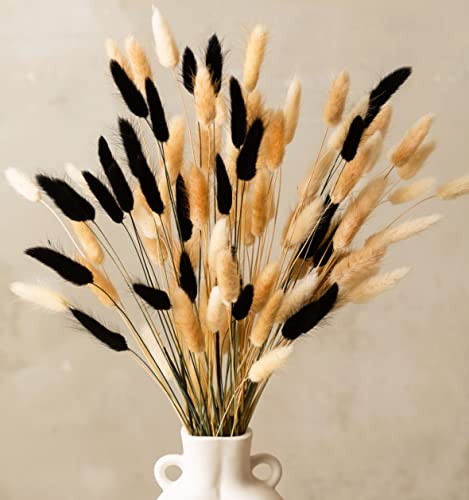 100 Stems Dried Bunny Tails Grass - Natural Black White & Brown Boho Decor