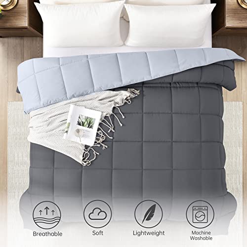 Homelike Moment Queen All-Season Reversible Down Alternative Comforter