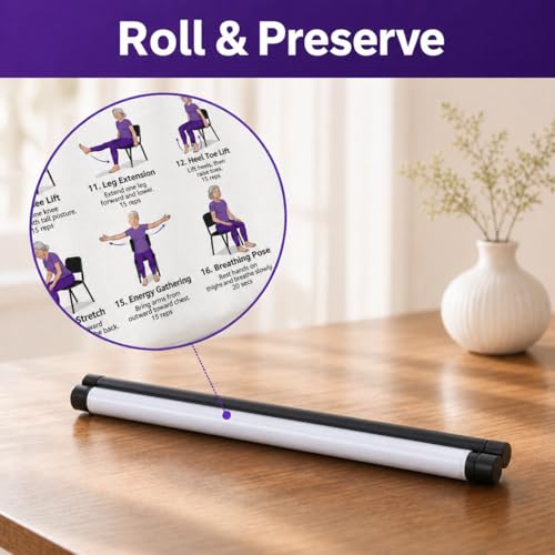Lionpower Tai Chi Chair Workout Poster for Seniors - 16x24 Exercise Chart