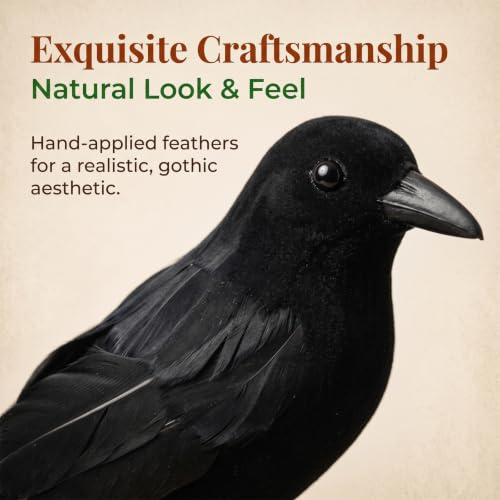 Gothic Black Feathered Crow Tree Topper with Spring Base - 10 Inch