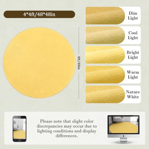 4x4 Yellow Round Area Rug, Super Soft Memory Foam Minimalist Circle Carpet