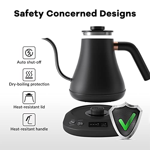 Electric Gooseneck Pour-Over Kettle, 0.8L Stainless Steel with Temp Control