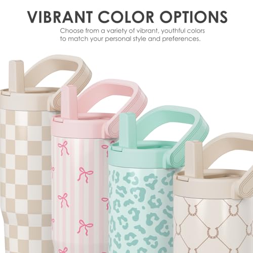 30oz Stainless Steel Insulated Travel Tumbler with Straw and Carry Handle