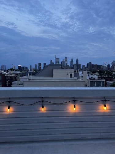 50 Pack Heavy Duty Metal Light Clips for Outdoor String Lights and Awnings