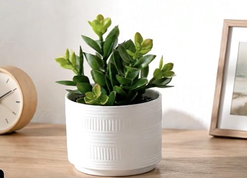 Artificial Succulent in White Ceramic Pot, 7.5-Inch Faux Plant Decor