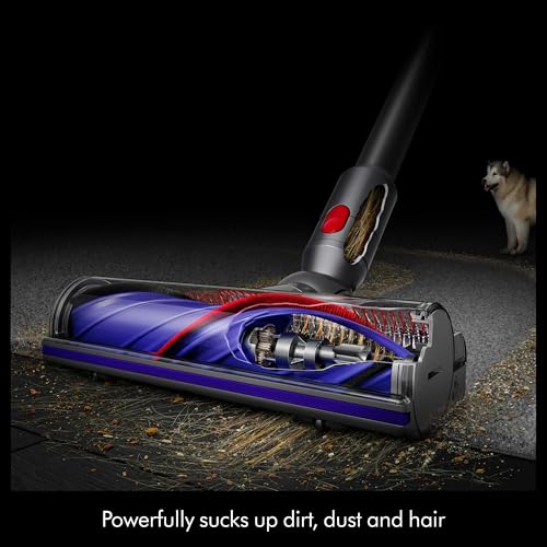 Dyson Cyclone V10 Origin Cordless Vacuum Cleaner for Pets
