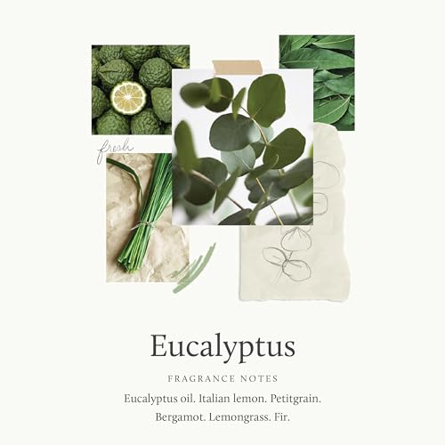 Thymes Eucalyptus Countertop Spray 16.5 fl oz – Pack of 1, Fresh Eucalyptus