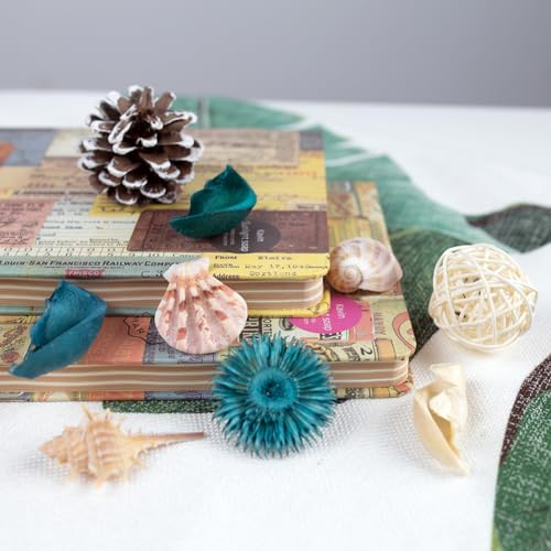 Sea Shell Potpourri Bag, Ocean Breeze Scented Dried Flower Vase Filler