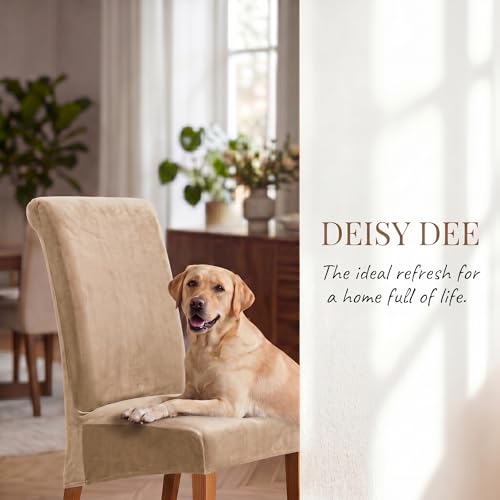 XL Velvet Dining Chair Covers - Removable & Washable Protectors