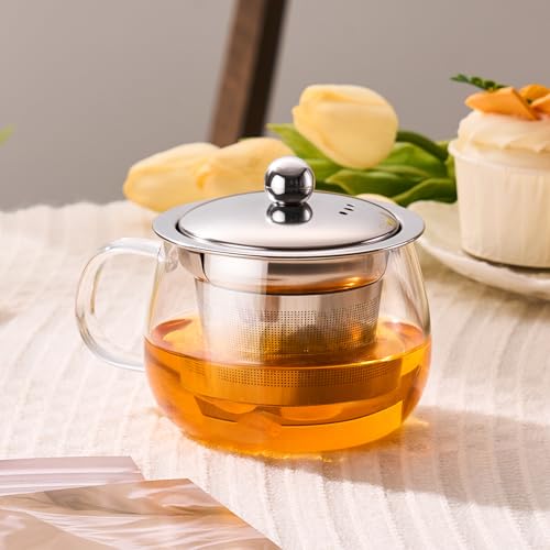 PARACITY 13 oz Glass Tea Mug with Infuser & Lid - Stovetop Safe, Fine Mesh Filter