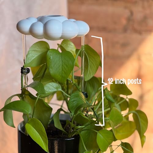 Dripping Rain Cloud Plant Waterer - Decorative Slow Drip Houseplant Accessory