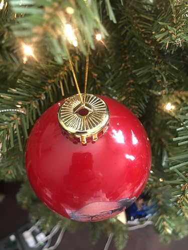 Danny DeVito Christmas Ornament - Funny Frank Reynolds Holiday Decor, 3.25 Inch Red with Gold Loop