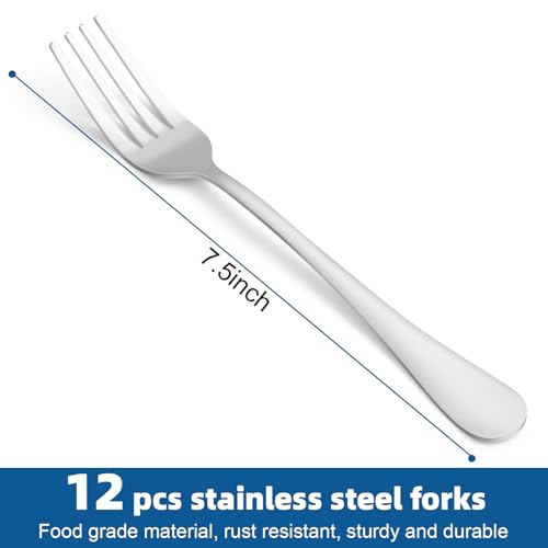 12-Piece Stainless Steel Dinner Fork Set - 7.5 Inch Mirror Polished Cutlery