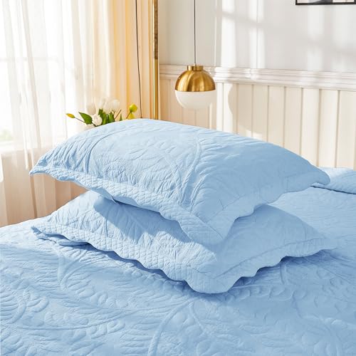 Embroidered Cotton Quilted Pillow Shams - King Size, Light Blue - 2 Pack