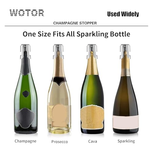 Stainless Steel Champagne Bottle Stoppers - Reusable Savers (2 Pack)