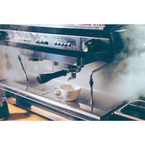 Espresso Machine Decalcifier Descaler Solution - 2 x 250ml Bottles