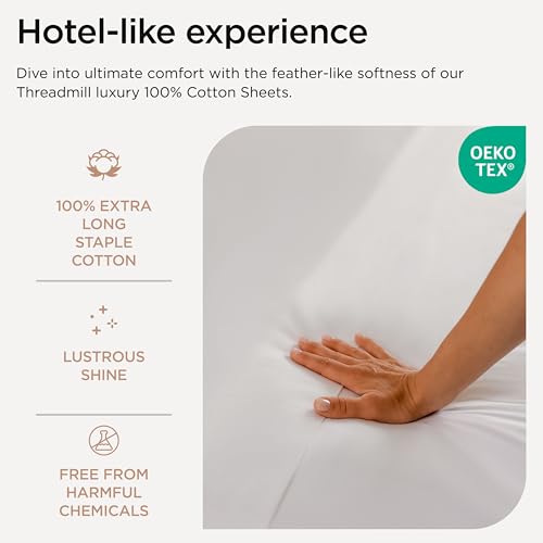 600 Thread Count 100% Cotton Queen Sheet Set - White Sateen 4-Piece