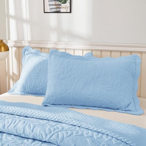 Embroidered Cotton Quilted Pillow Shams - King Size, Light Blue - 2 Pack