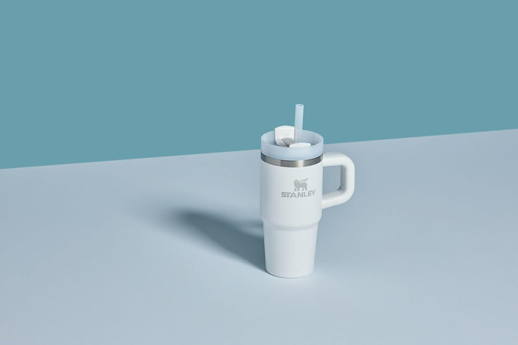 STANLEY Quencher H2.0 Tumbler - 20 oz Insulated Stainless Steel Cup with Handle & Straw | BPA-Free | Frost