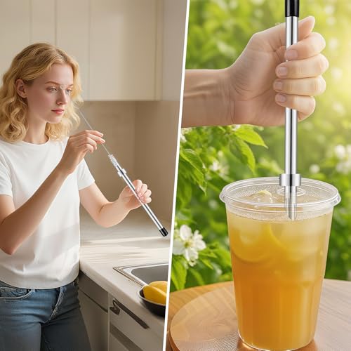 5-Piece Stainless Steel Lemonade Drink Making Set with Straw Puncher, Muddler & More