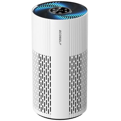 Large Room Air Purifier with True HEPA Filter and 20dB Sleep Mode