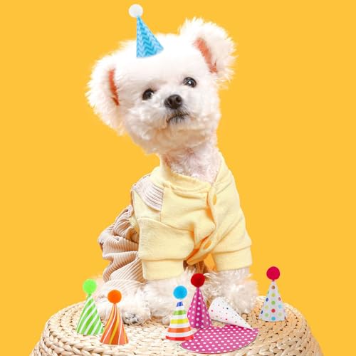 10 PCS Colorful Mini Party Hats for Stuffed Animals and Pets