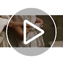 Luxury All-White Percale Duvet Cover - 100% Long-Staple Cotton, Queen Size