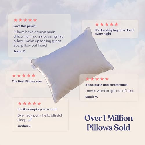 Down Alternative Bed Pillows - Standard/Queen Size, Soft (2 Pack)
