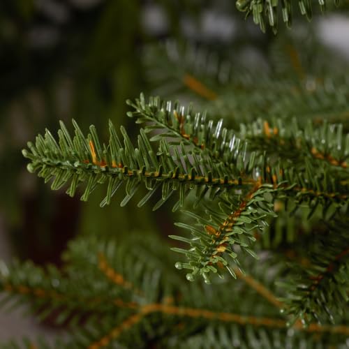 Ferrgoal 6 FT Unlit Artificial Pine Christmas Tree - Realistic Holiday Decor
