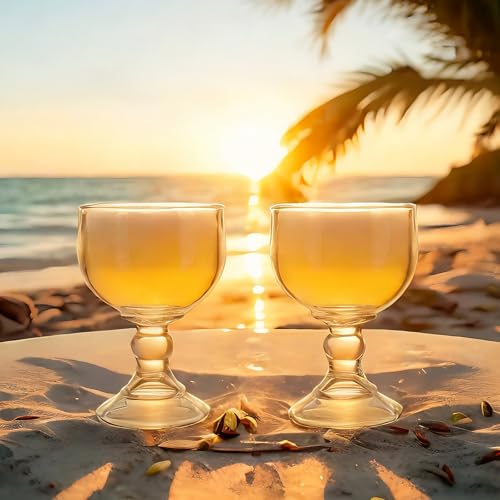 Sabary Set of 24 Extra Large 21.5 oz Margarita Glasses - Clear, Durable, Bulk
