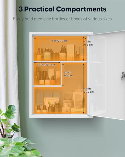 Locking Medicine Cabinet, Wall-Mounted Steel Medication Organizer with Keys