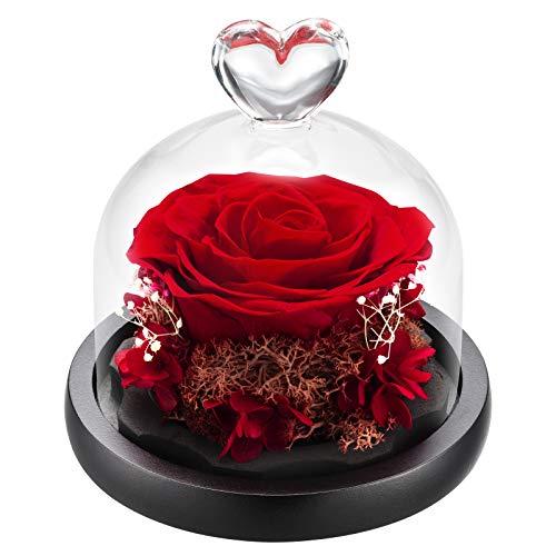DuHouse Preserved Real Rose in Red - Enchanted Glass Dome, 4-5 Year Lifespan