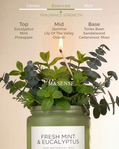 Eucalyptus & Mint Scented Jar Candle - 19.4oz Soy Wax, 110-Hour Burn