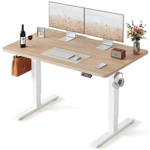 Electric Height Adjustable Standing Desk - 48 x 24 Inch Home Office Desk