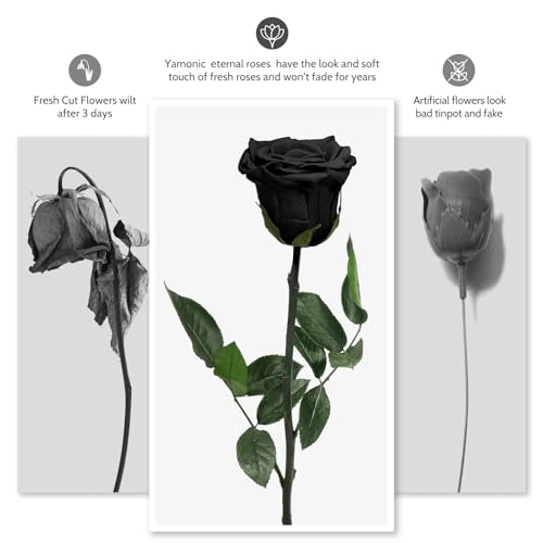 Preserved Rose Gift Set (5 Roses) for Mom Grandma - Eternal Real Rose, 30-32 cm stems