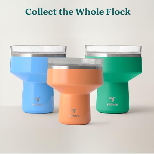 16oz Insulated Stainless Steel Margarita Tumbler Glass with 360 Lid