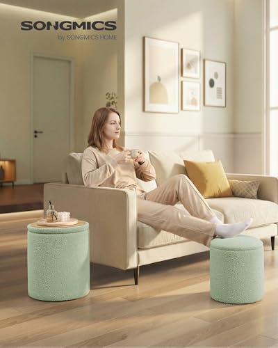 SONGMICS Set of 2 Round Storage Ottomans with Teddy Fleece Upholstery
