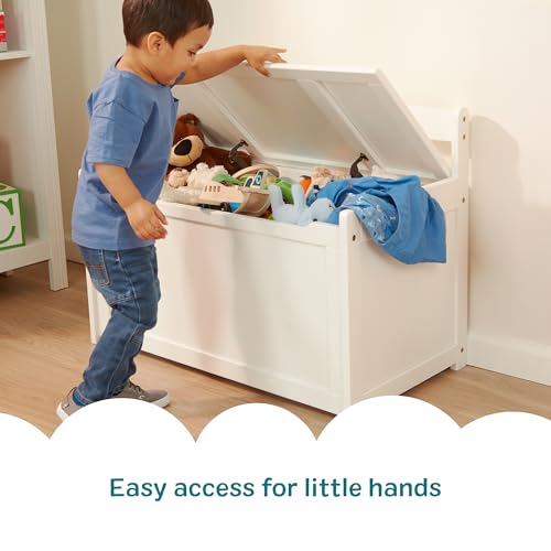 Wooden Toy Storage Chest with Safety-Hinged Lid for Kids Playroom
