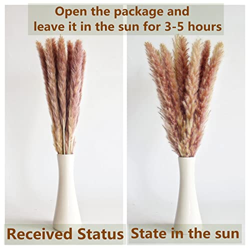 110 Pcs Boho Dried Pampas Grass Bouquet with Eucalyptus & Bunny Tails