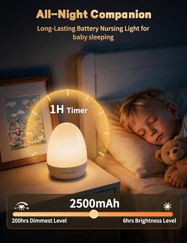 Dimmable LED Egg Night Light for Nursery with Touch Control & Timer