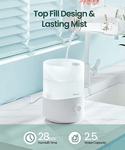 2.5L Cool Mist Humidifier and Essential Oil Diffuser for Bedroom