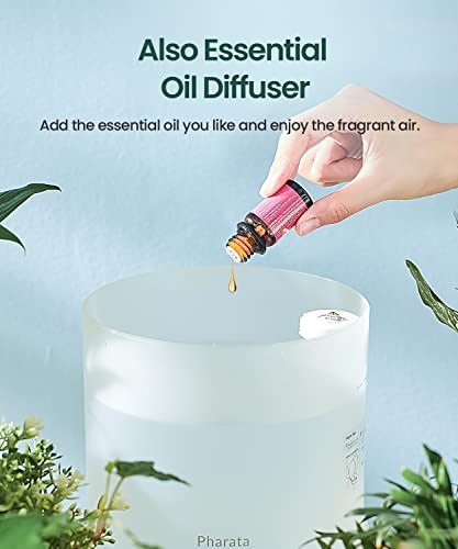 2.5L Cool Mist Humidifier and Essential Oil Diffuser for Bedroom