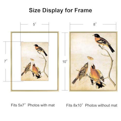 8x10 Brass Aluminum Picture Frame with 5x7 Mat for Wall & Tabletop