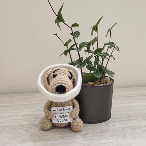 Handmade Crochet Dog Plush – Funny Surgery Recovery & Get Well Soon Gift