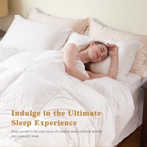 Organic Cotton Feather Down Comforter - King Size All Season Duvet Insert