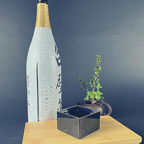 10 Pack Japanese Masu Sake Cups 3x1.875in Black Plastic with Gold Rim