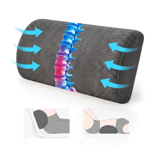 Memory Foam Lumbar Support Pillow for Office & Travel Use - Gray
