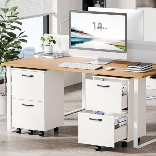 2-Drawer Mobile Storage Cabinet, Rolling Under Desk Printer Stand - White