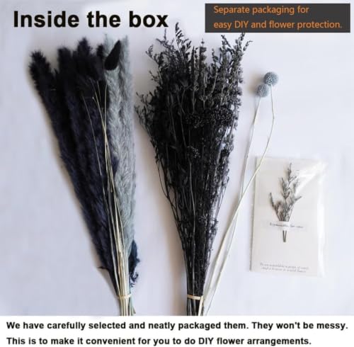 17-Inch Natural Dried Pampas Grass Bouquet - Black & Grey Boho Floral Decor
